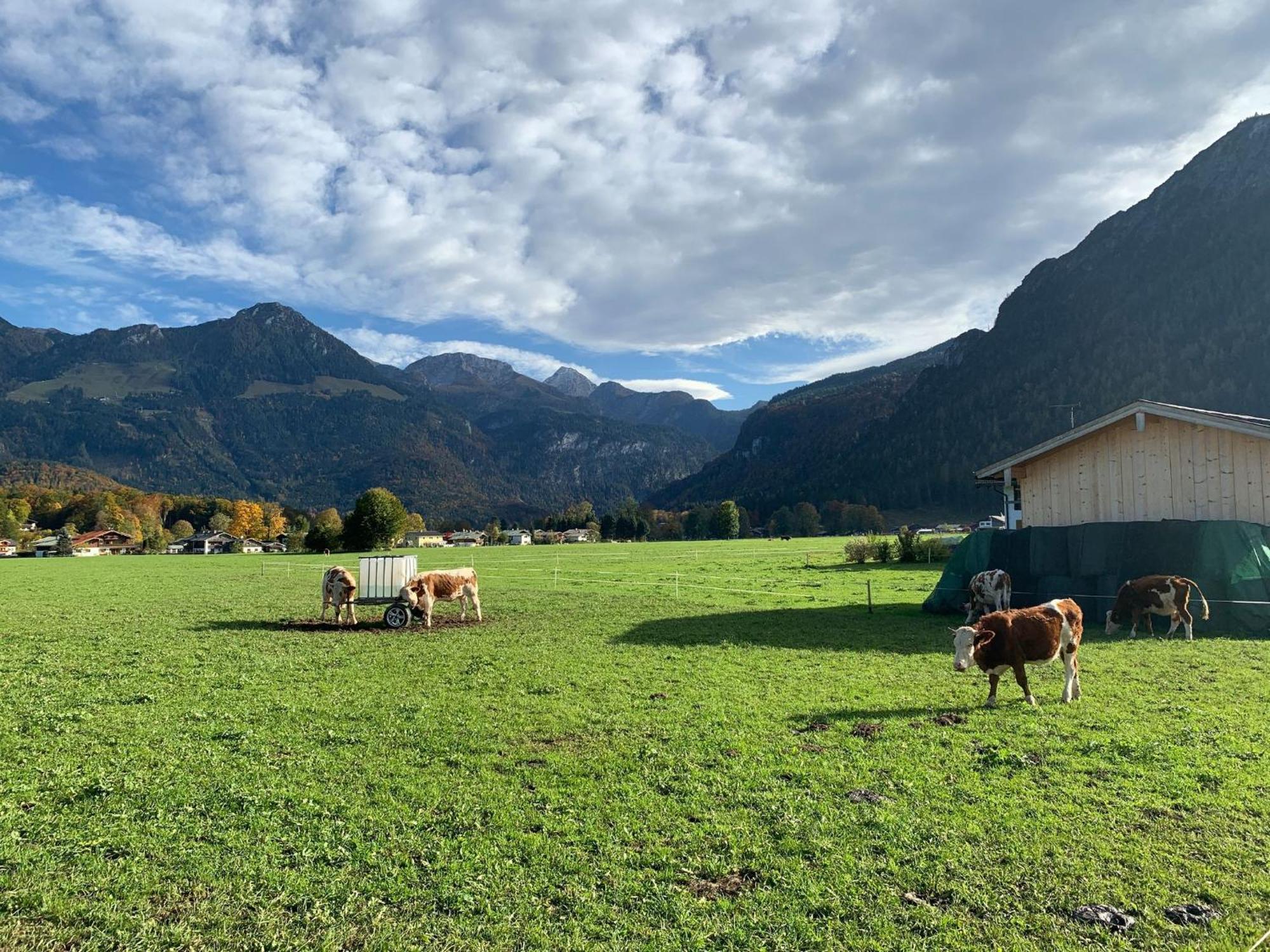 Ferienwohnung Hochkalterblick Schoenau am Koenigsee Ngoại thất bức ảnh